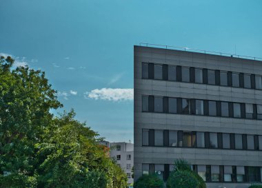 Yandan çekilmiş bir ofis kulesi ve açık bir gökyüzünde bir bitki ön planı.