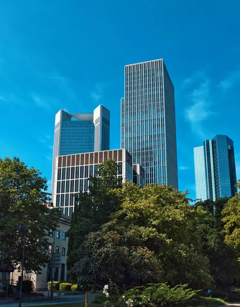 Frankfurt 'ta pek çok gökdelen var. Önünde ağaçlar olan çok da açık olmayan bir gökyüzü.