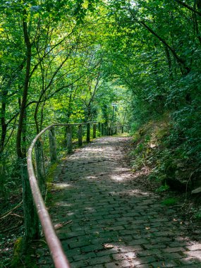 Alman ormanındaki kaldırımlı bir patikanın görüntüsü.