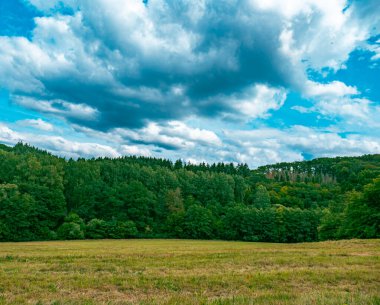 Bulutlu bir günde çimenli bir tarla ve arkasında bir orman.