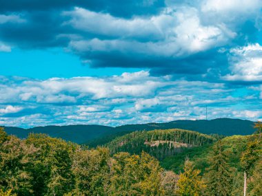 Gökyüzü bulutlu bir Alman ormanının manzara görüntüsü.