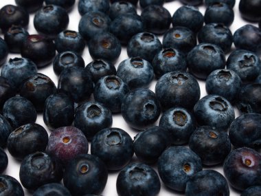 Ayrıntılı bir görünüm ve farklı odak seviyelerinde yaban mersinli bir arkaplan resmi