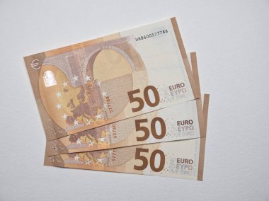 Çıktı ayrıntılarıyla farklı boyut ve şekle sahip Euro Banknotlarının ayrıntılı kayıtları