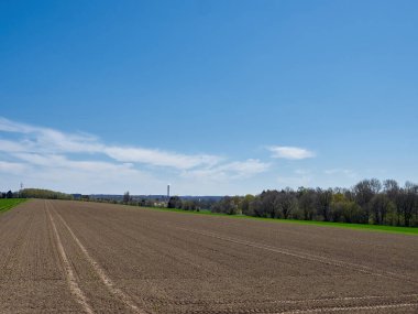 Mavi gökyüzünün altında bir tarla