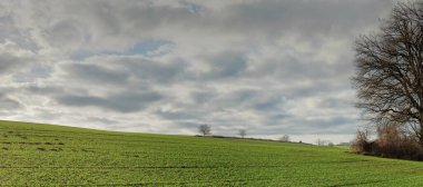 Bulutlu gökyüzünün altında ağaçlarla kaplı yeşil bir çayırın panoramik görüntüsü.