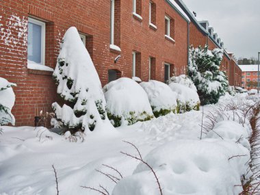Tuğla duvar karşısında karla kaplı çalılardan oluşan kış manzarası.
