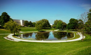 Bahçedeki küçük yapay bir gölün yakın plan fotoğrafı.