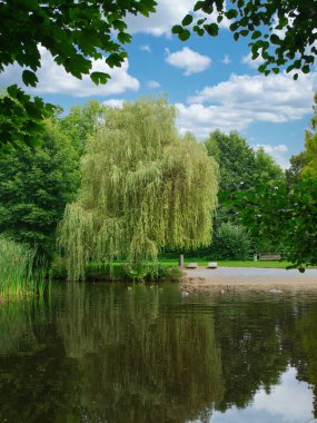 Bulutlu bir günde, göletli bir park ve asılı ağaçlı bir plaj.