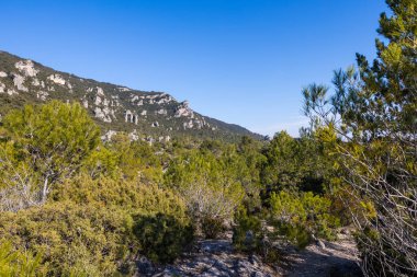Cirque de Moureze, gigantic dolomite chaos at the foot of Mont Liausson