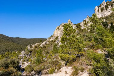 Cirque de Moureze, gigantic dolomite chaos at the foot of Mont Liausson