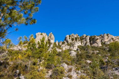 Cirque de Moureze, gigantic dolomite chaos at the foot of Mont Liausson