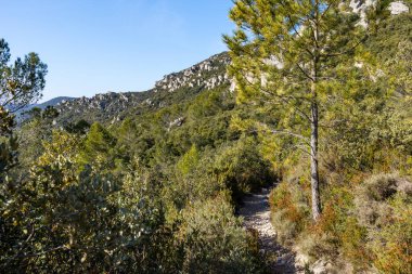 Cirque de Moureze, gigantic dolomite chaos at the foot of Mont Liausson