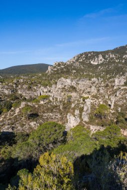Cirque de Moureze, gigantic dolomite chaos at the foot of Mont Liausson
