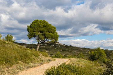 Hiking trail in the Gardiole massif in Frontignan