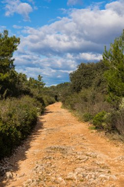 Hiking trail in the Gardiole massif in Frontignan