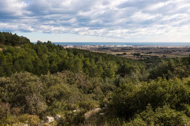 View of the city of Frontignan from the Gardiole massif