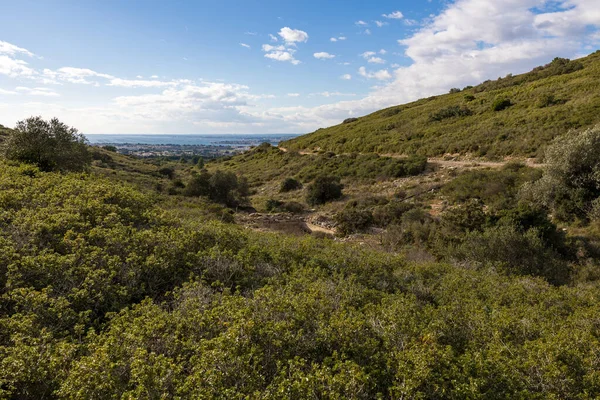 View of the Etang de Thau from the Gardiole massif in Frontignan