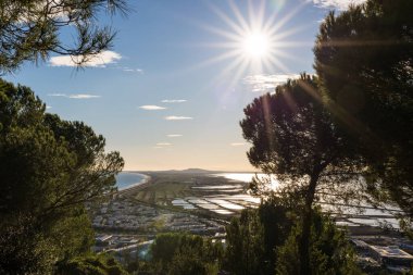 Great sun on the Lido de Thau from the Foret des Pierres Blanches in Sete