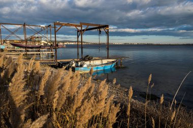 Oyster farmers' huts on the edge of the Etang de Thau, next to the village of Bouzigues