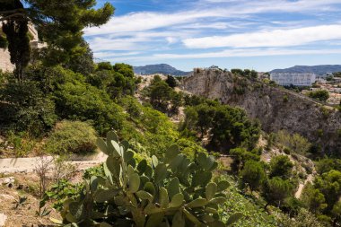 View of the Jardin du Bois Sacre, on the hillsides of the Basilica of Notre-Dame de la Garde in Marseille
