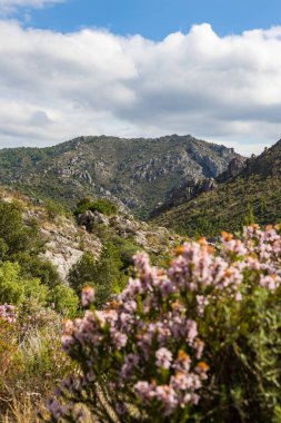 View on the outside of the Cirque de l'Infernet from the slopes of Mont Saint-Baudille