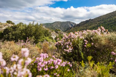 View on the outside of the Cirque de l'Infernet from the slopes of Mont Saint-Baudille
