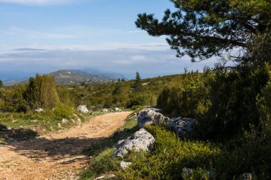 Hiking trail of Mont Saint-Baudille, on the Causse du Larzac side