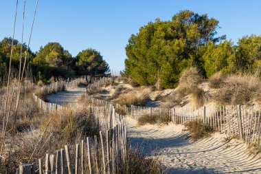 Walk through the sand dunes to Petit Travers beach in Carnon