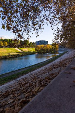 Montpellier Town Hall in autumn from the banks of the Lez