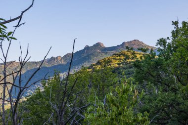 Forest and mountains around the village of Olargues in the Haut-Languedoc Regional Nature Park