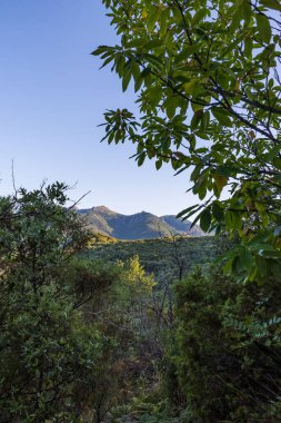 Forest and mountains around the village of Olargues in the Haut-Languedoc Regional Nature Park