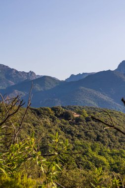 Forest and mountains around the village of Olargues in the Haut-Languedoc Regional Nature Park