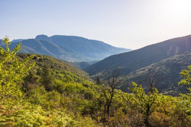 Forest and mountains around the village of Olargues in the Haut-Languedoc Regional Nature Park