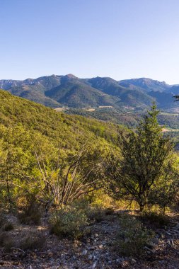 Forest and mountains around the village of Olargues in the Haut-Languedoc Regional Nature Park