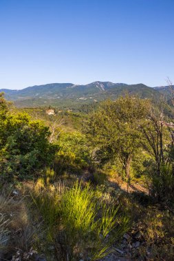 Forest and mountains around the village of Olargues in the Haut-Languedoc Regional Nature Park
