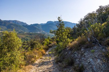 Forest and mountains around the village of Olargues in the Haut-Languedoc Regional Nature Park