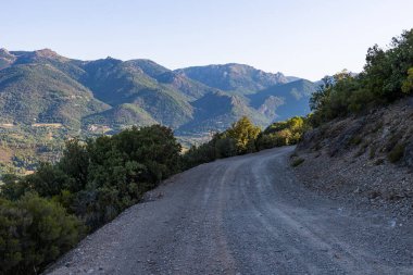 Forest track in the communal forest of Olargues in the Haut-Languedoc Regional Nature Park
