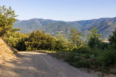 Forest track in the communal forest of Olargues in the Haut-Languedoc Regional Nature Park