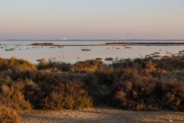 Sunset over the Etang de l'Or at the Pointe du Salaison, an area rich in birds