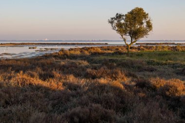 Sunset over the Etang de l'Or at the Pointe du Salaison, an area rich in birds