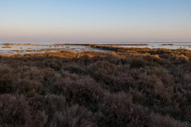 Sunset over the Etang de l'Or at the Pointe du Salaison, an area rich in birds