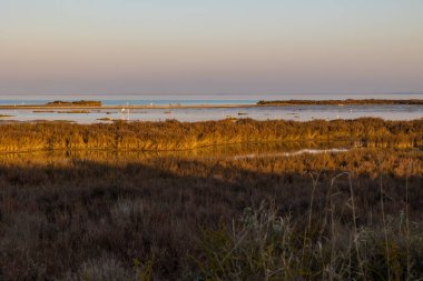 Sunset over the Etang de l'Or at the Pointe du Salaison, an area rich in birds