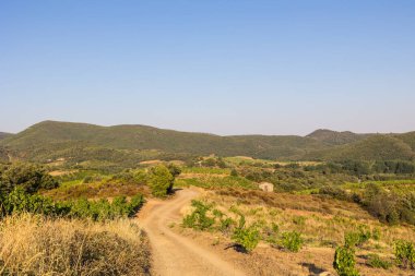 Bir yaz gününün sonunda Roquebrun 'daki Saint-Chinian üzüm bağlarında manzara