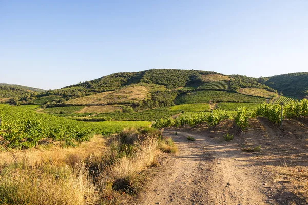 stock image View at the end of a summer day on the vineyards of Saint-Chinian in Roquebrun