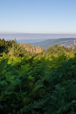 Haut-Languedoc Bölgesel Parkı 'ndaki Caroux Zirvesi' nden Monts de l 'Espinouse' un sabah manzarası