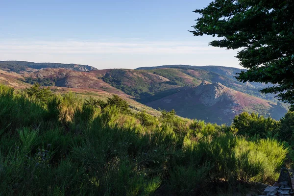 Morning View Landscapes Monts Espinouse Summit Caroux Haut Languedoc Regional — Stock Photo, Image