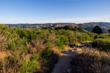 Mont Caroux 'un tepesinden bir rüzgar çiftliği manzarası
