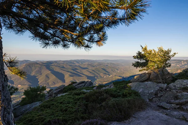 Hrault ve Haut-Languedoc Doğal Parkı 'nın ve Mont Caroux' un zirvesinden Orb Vadisi 'nin gündoğumu manzarası.