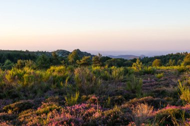Mont Caroux 'nun fundalık ve eğreltiotu kırlarında gün doğumunda manzara