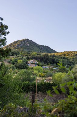 Günbatımında Haut-Languedoc Bölgesel Doğal Parkı 'ndaki Roquebrun' da Hamlet 'i Ceps